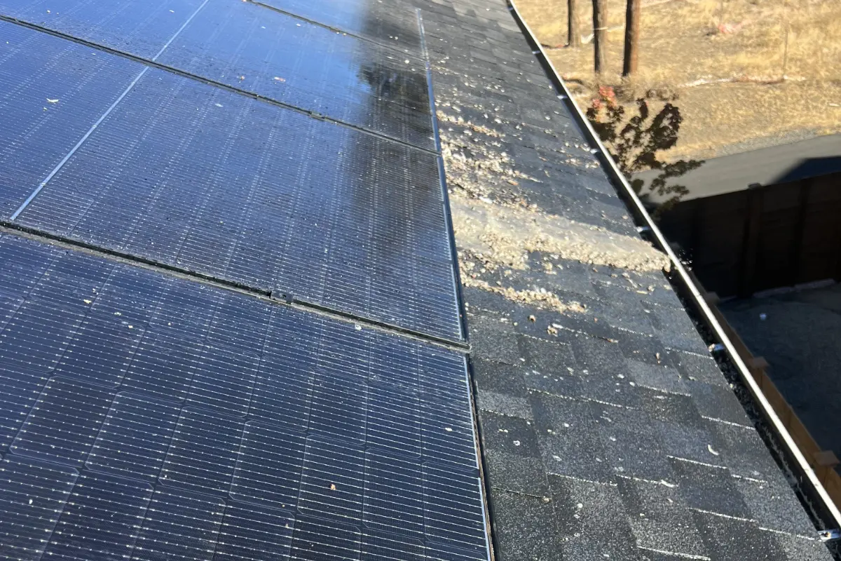 bird poop on solar panels
