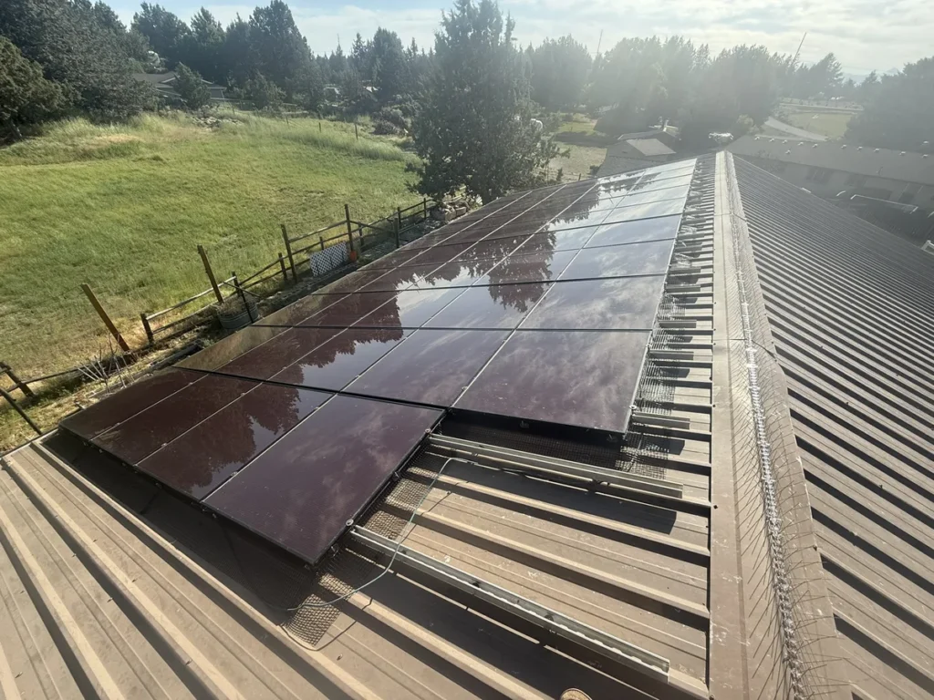 bird proofing protects your investment and saves you money over time