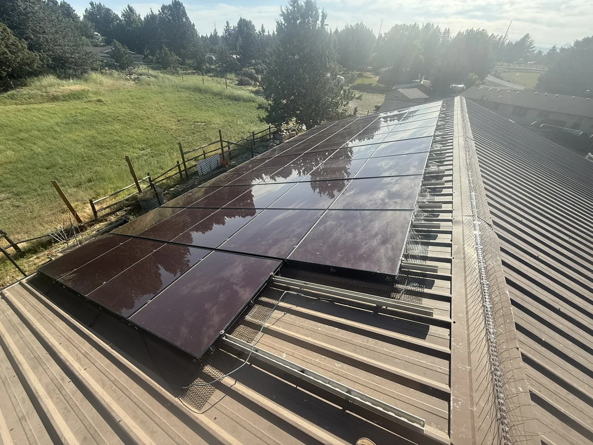 bird proofing protects your investment and saves you money over time