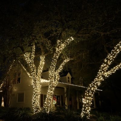 home with holiday lights on house and trees