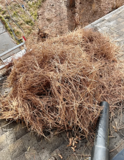 Gutters and roofto be cleaned