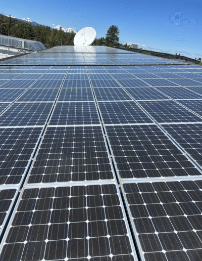 Freshly cleaned solar panels