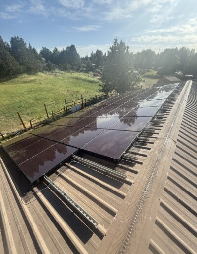 clean panels bird proofing