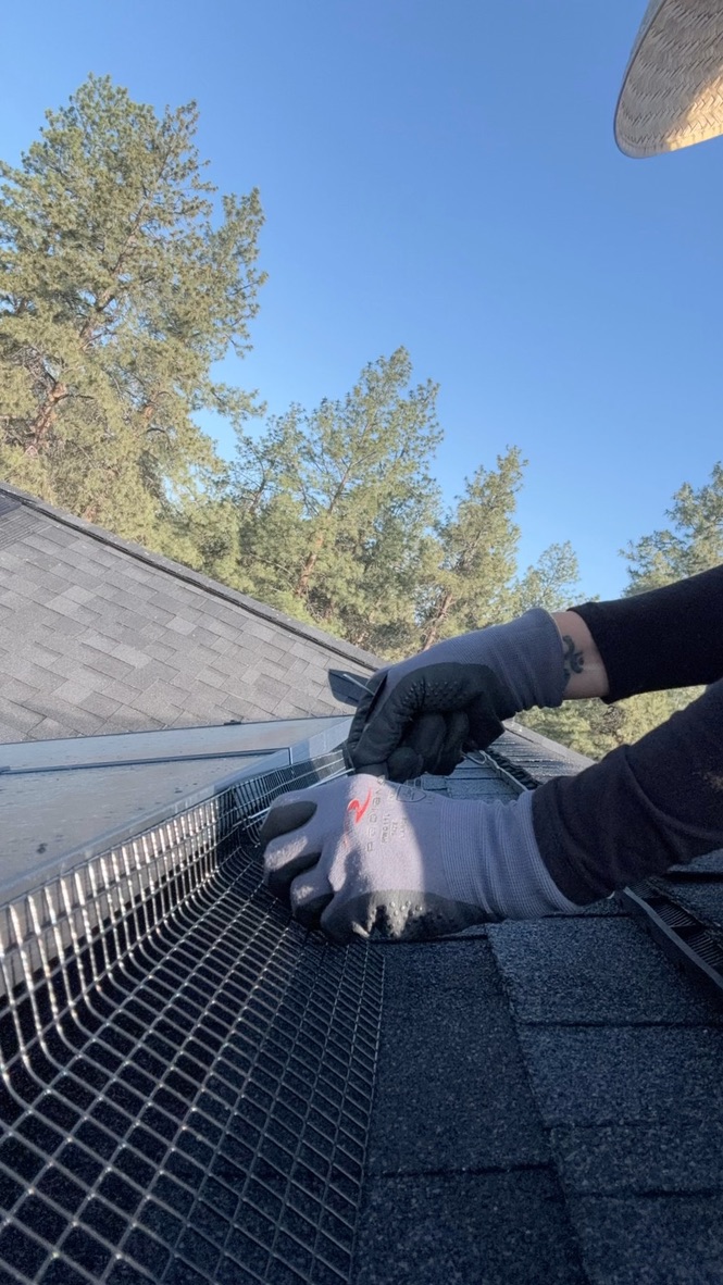 Humane Pigeon Proofing